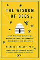 蜜蜂的智慧